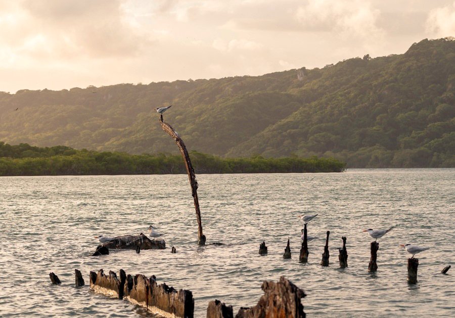 villa-marina-suites-parque-7